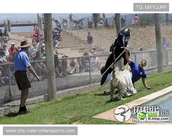 野生动物袭人事件再发，俄加强安全警戒，野生动物袭击家畜视频